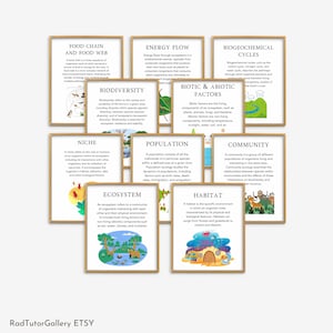 Ecological Concepts Posters, High School Science, Science Classroom Decor, Environment Poster Set, Science Teacher Poster, Biology Posters