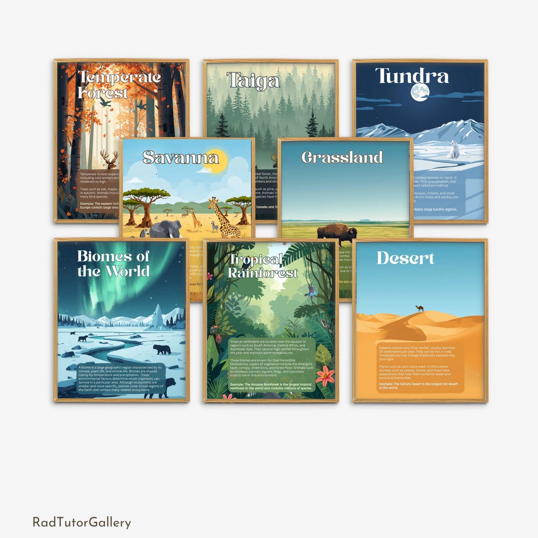 Biomes of the World Posters, Types of Ecosystem, Ecology Posters, High ...