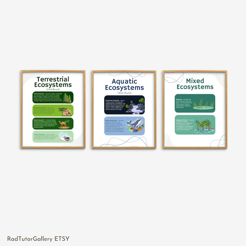Ecosystem Frame Types of Ecosystem Prints, Ecology Posters, High School Science ...