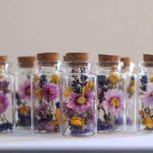 Vasi di fiori secchi