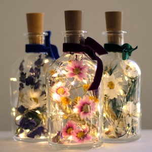 Dried flowers LED bottles