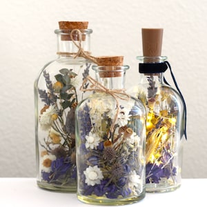 Bottiglie di fiori secchi -- Cardo blu
