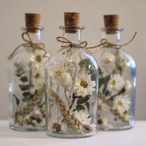 Trockenblumen-Flaschen einzeln 14cm 1 x Eukalyptus Daisy