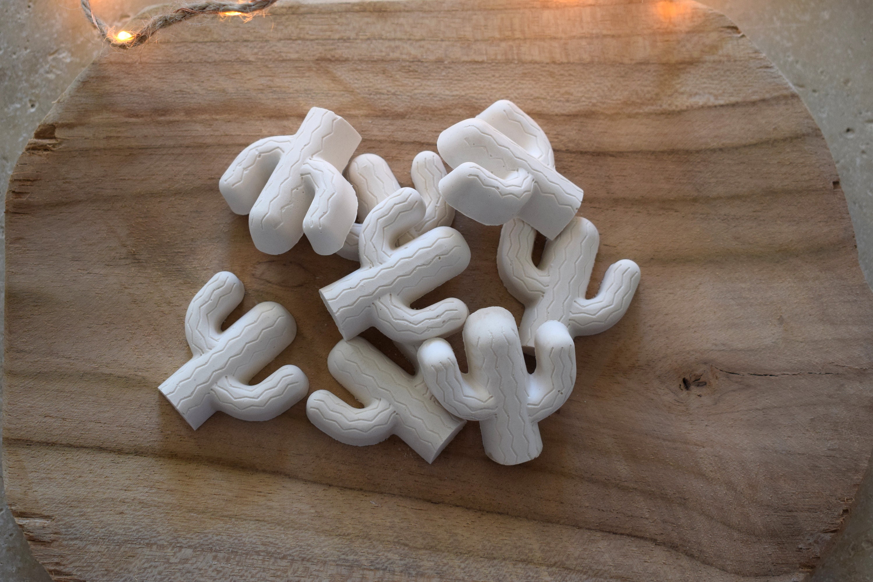 Cactus en Plâtre, Diffuseur Parfum ou Huile Essentielle, Cadeaux Fêtes Des Mères, Mariage, Cadeau Té