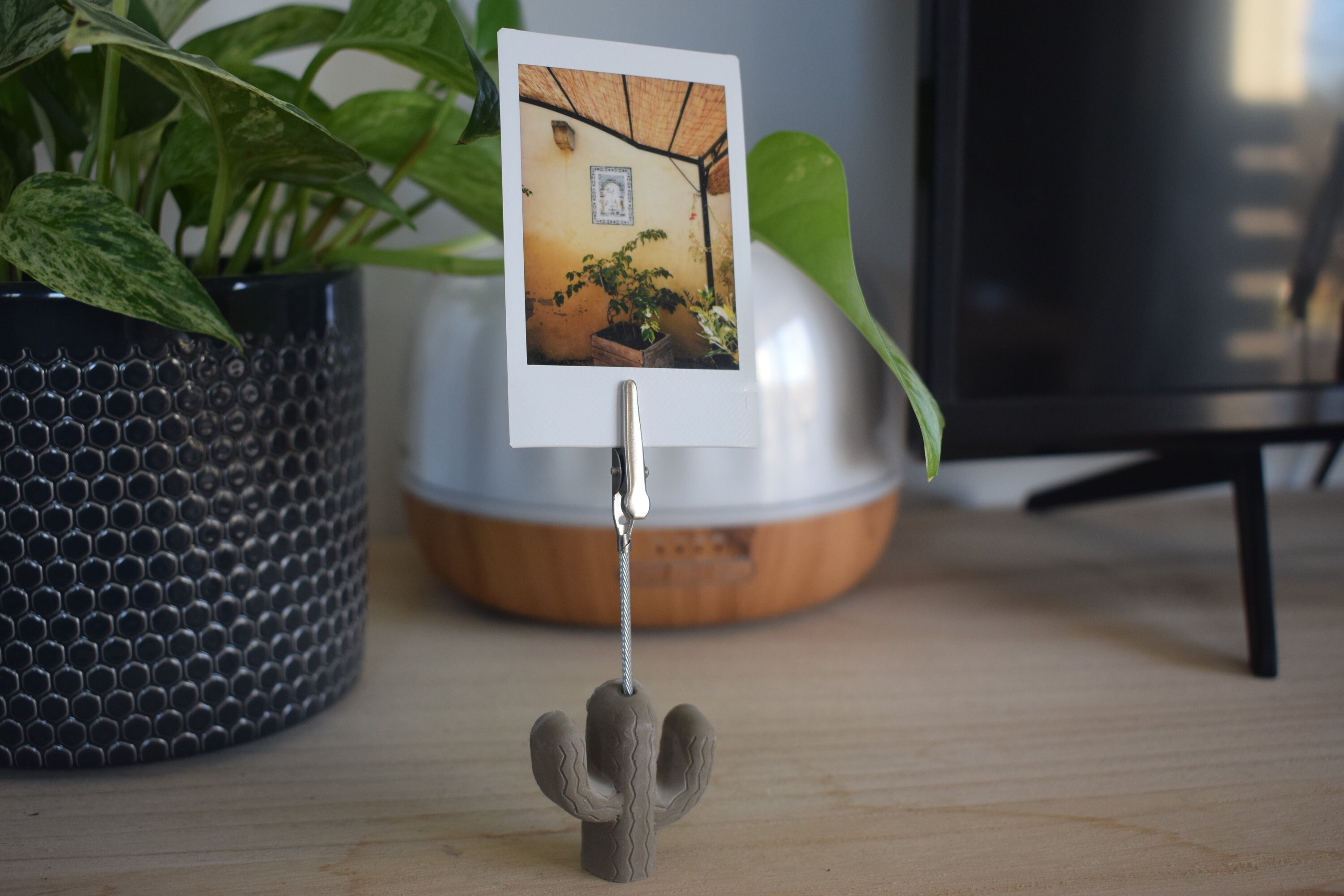 Porte Photo Cactus, Décoration Maison, Cadeaux