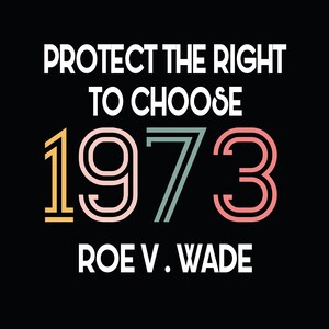 1973 Protect Roe v Wade Pro-Choice SVG. Women&#39;s Fundamental Rights SVG DESIGN Feminist Tees, Women&#39;s Rights | Feminism Svg, Digital Download
