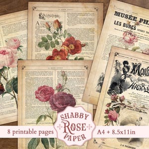 Français roses botaniques imprimables, journaux éphémères vintage, papier journal indésirable, fond de Texture antique shabby chic collage numérique