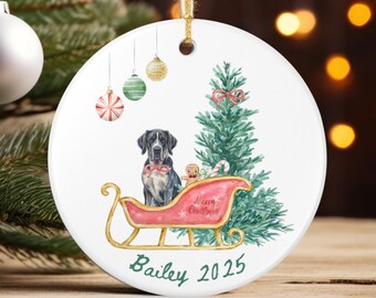 May include: A white ceramic Christmas ornament with a watercolor design. It features a black and white dog in a red sleigh with a Christmas tree. The ornament has the name "Bailey" and the year "2025" written on it.