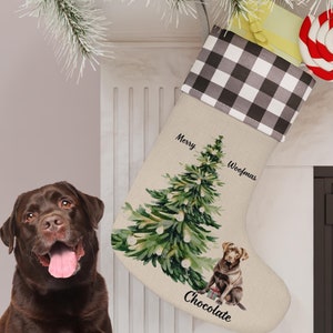 May include: A beige Christmas stocking with a black and white buffalo plaid cuff. The stocking features a watercolor painting of a Christmas tree and a brown Labrador Retriever dog. The text "Merry Woofmas" is written above the tree and "Chocolate" is written below the dog.