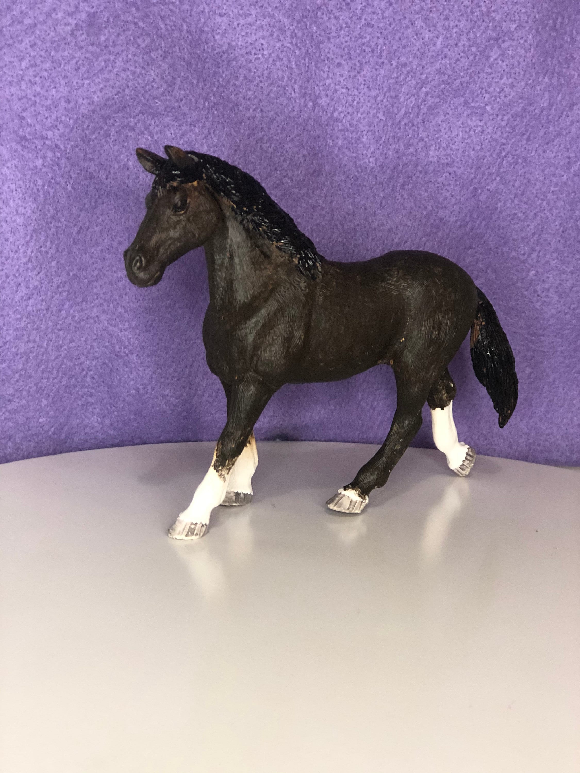Bay thoroughbred mare