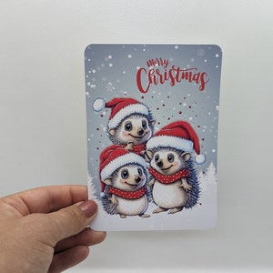 Cartolina "Riccio", DIN A6, biglietto di auguri di Natale, cartolina di Natale