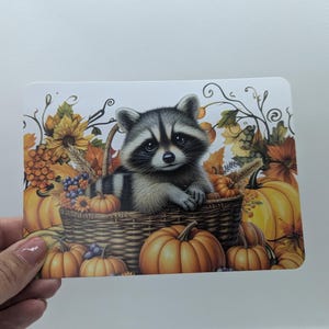 Skinny-Postcard "Waschbär", DIN A6, Grußkarte, Postkarte, Herbstpostkarte, erschlankte Postkarte