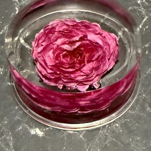 Preserved Rose