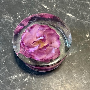 Preserved Flower