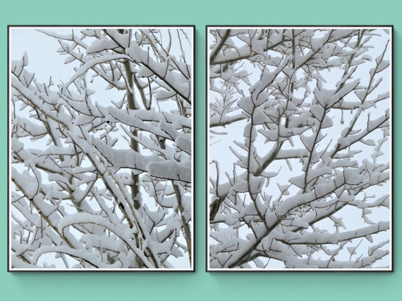 Snowy Tree Branch In Winter Digital Downloadable Art Print