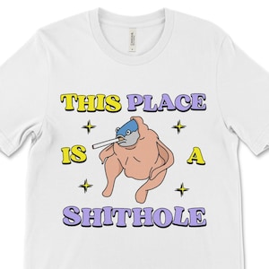 Dieser Ort ist ein Shithole, Meme Shirt, Absurd Shirt, lustiges Shirt, Offensive Shirt, Gag Geschenk, sarkastisches Shirt, ironisches Shirt, seltsam, dunklen Humor