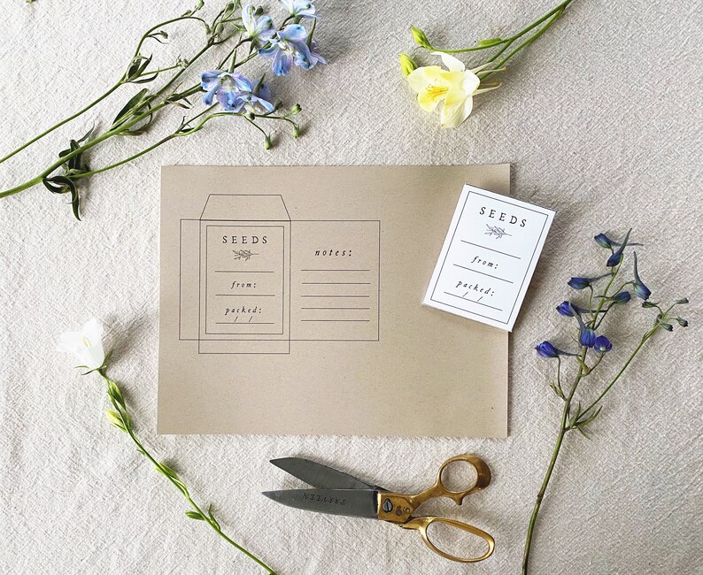 May include: A kraft paper seed packet and a small white seed label, both with the word "SEEDS" and space for notes. The packet and label are decorated with a sprig of leaves. Gold scissors and flowers are arranged around the packet.