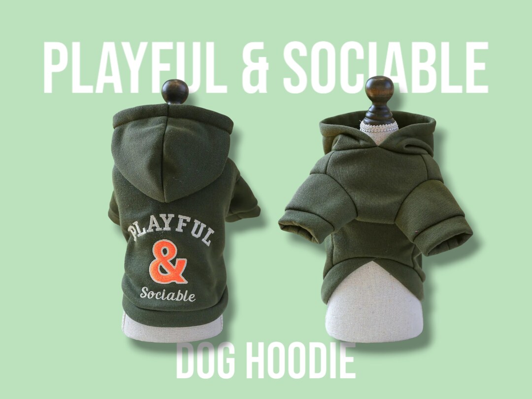 Indigenous Paisley Green Pet Dog Hoodie