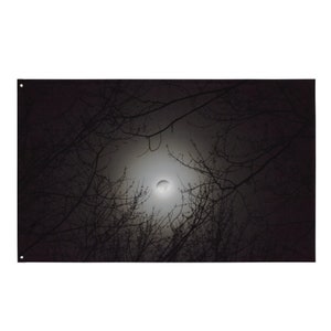 Winter Moon Between Trees Tapestry