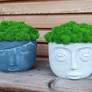 Moss concrete pot with Finland moss, table decoration, premium moss, birthday present