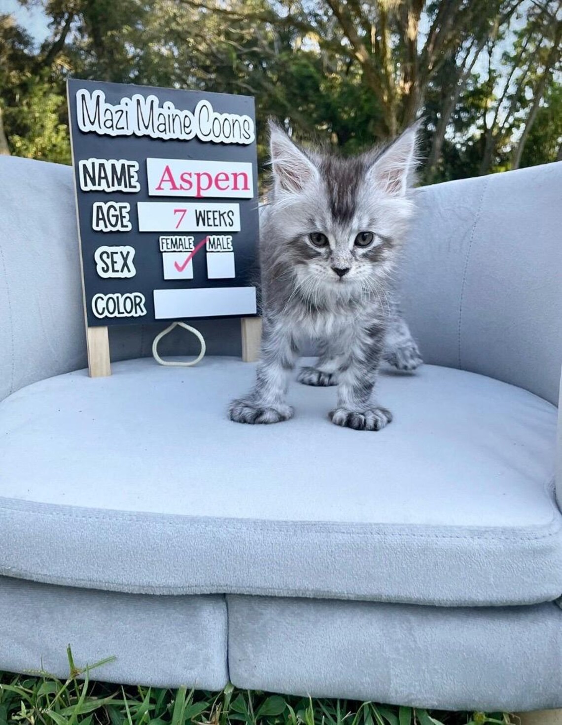 Cattery Sign, Cattery Marker Board Sign, Breeding Signs, Breeding ...