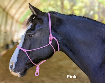 May include: A black horse with a white blaze on its face wearing a pink rope halter. The horse is looking to the right of the frame. The word "Pink" is written in white text on the bottom right of the image.