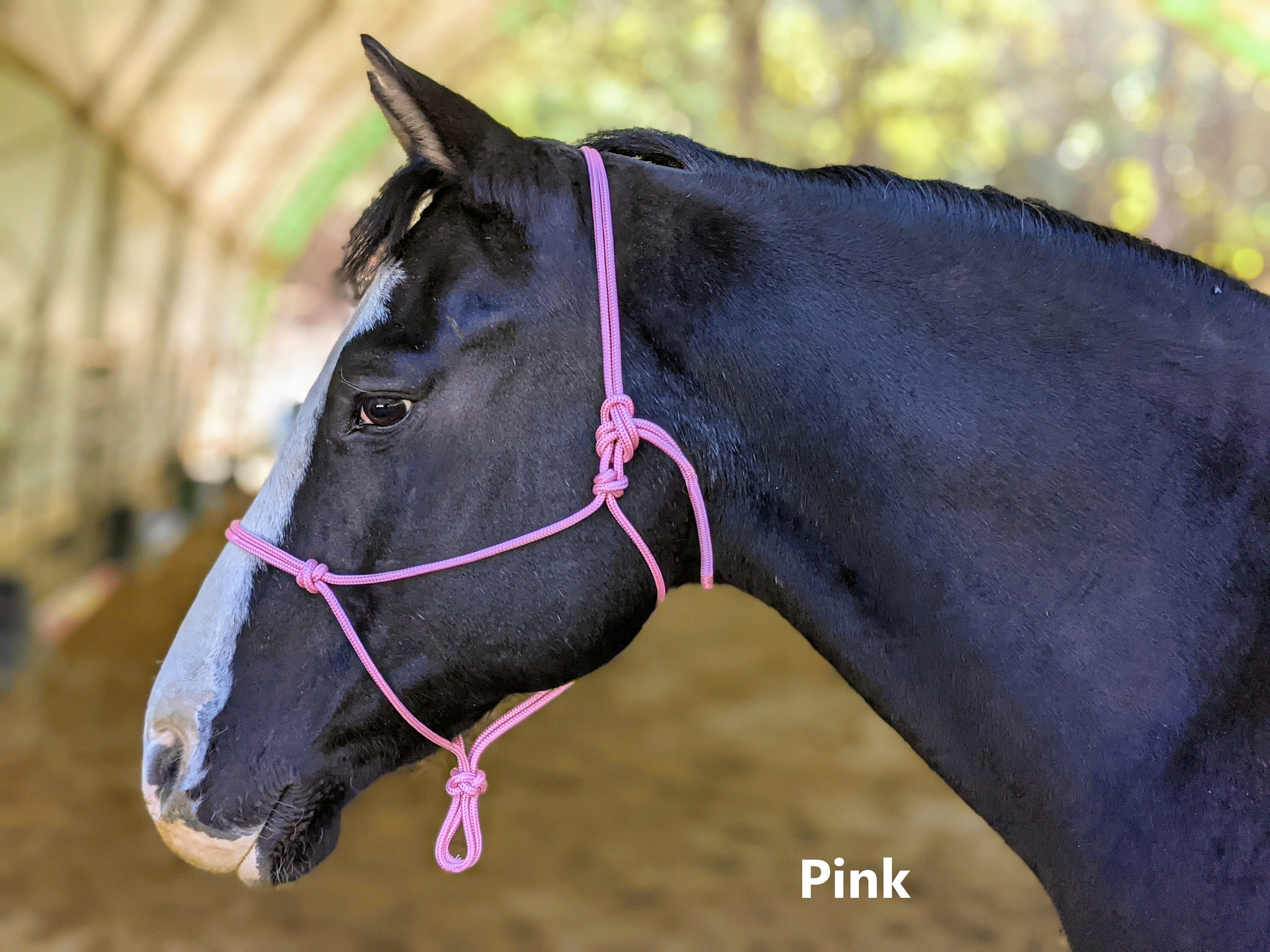 Quick Loop Rope Halter