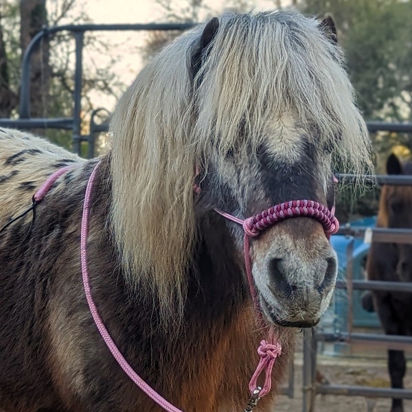 Miniature Horse and Pony LEAD ROPE with PARACORD wrap 4ft -12ft Custom double braided nylon yacht rope