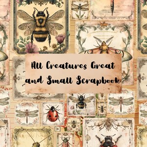 Vintage insectenplakboekpapier | Op de natuur geïnspireerd | Direct downloaden | Journaalbladen, kaarten maken en meer