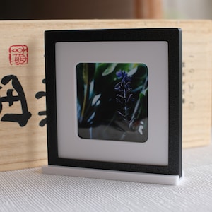 Double sided modern box frame and mat for instax square