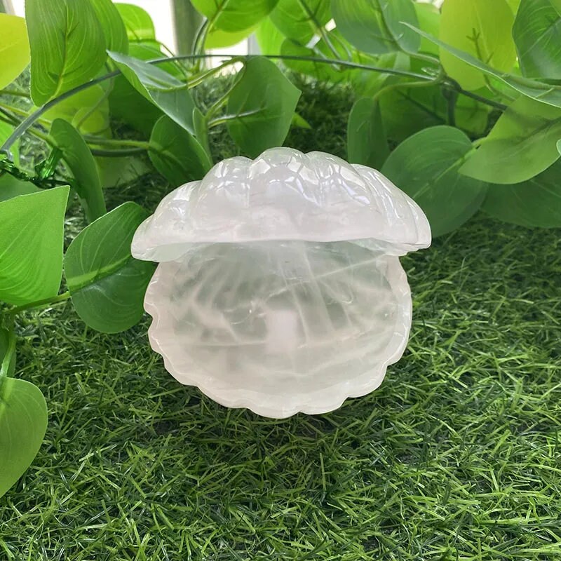 Clear Quartz Seashell Crystal Jewelry Box Jewelrylous Crystal Etsy
