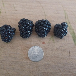 Triple Crown Thornless Blackberry Plants ** Naturally Grown - Become More Sustainable **