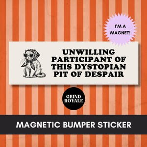 Funny Liberal Bumper Sticker, Feminist Sticker, Cool Bumper Sticker, Funny Bumper Sticker,Political Bumper Sticker,Anti Trump Sticker