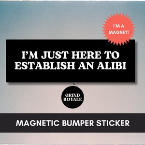 True Crime Lover Bumper Car Magnet, Car Magnet Funny, Funny Bumper Sticker, Unhinged Stickers, True Crime Gift, Murderino, Lawyer Sticker image 1