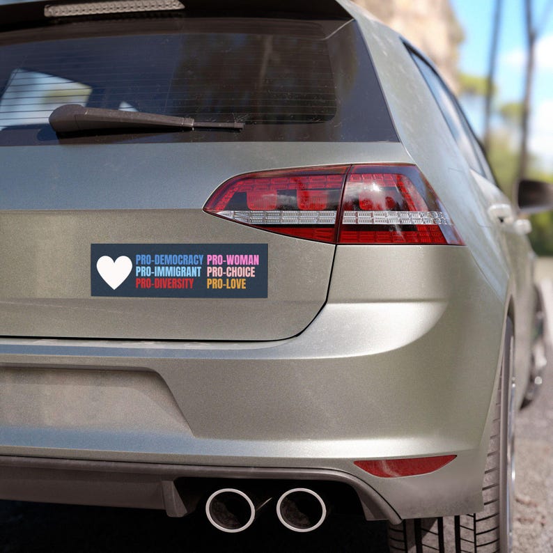Pro Democracy Liberal Car Magnet Bumper Sticker,Progressive Liberal,Political Bumper Sticker,FDT Sticker,Leftist Sticker, Anti MAGA image 3