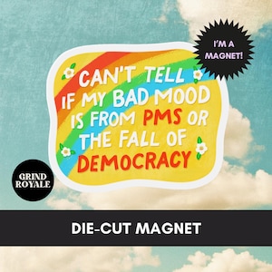 Anti Trump Die Cut Magnet, Anti MAGA Magnet, Anti Trump, Liberal Gift, Gift for Activists, Social Justice Car Magnet, Democrat Gift, FDT