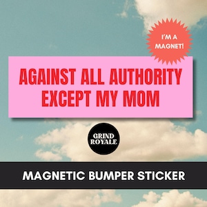 Liberal Bumper Magnet, Anti Authoritarian Social Justice Bumper Sticker, Funny Bumper Sticker,Political Bumper Sticker,Anti Trump Sticker