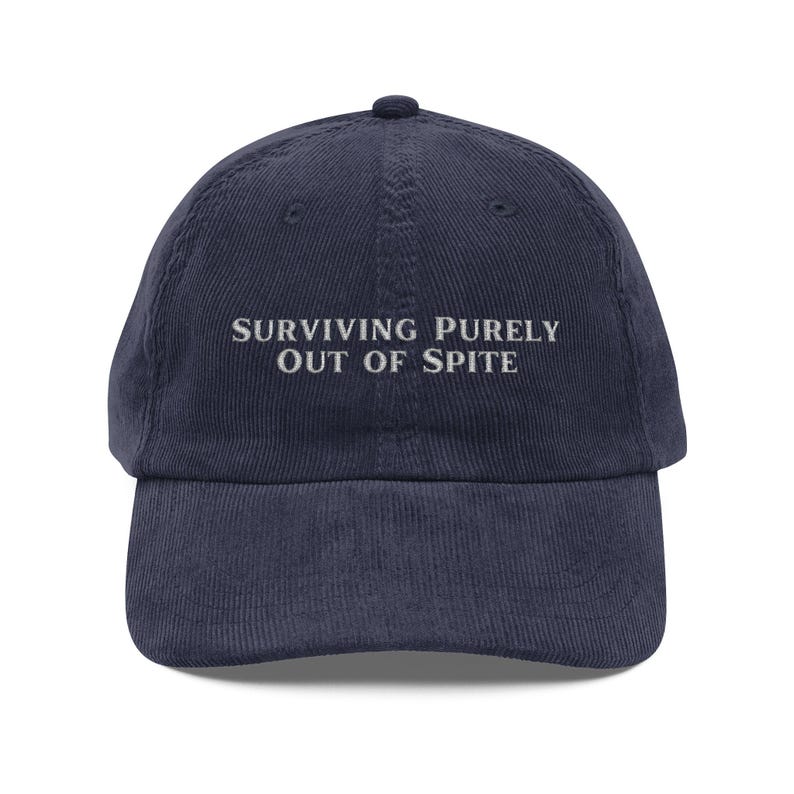 Vintage Embroidered Corduroy Funny Dark Humor Hat, Dark Humor Gift, Gothic Hat, Funny Hat, Surviving Out of Spite Hat, Millennial Gift image 5