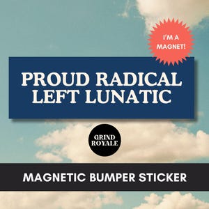 Funny Liberal Bumper Sticker, Feminist Sticker, Cool Bumper Sticker, Funny Bumper Sticker,Political Bumper Sticker,Anti Trump Sticker