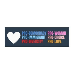 Pro Democracy Liberal Car Magnet Bumper Sticker,Progressive Liberal,Political Bumper Sticker,FDT Sticker,Leftist Sticker, Anti MAGA image 2