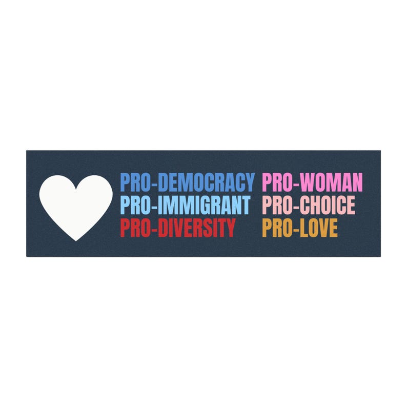 Pro Democracy Liberal Car Magnet Bumper Sticker,Progressive Liberal,Political Bumper Sticker,FDT Sticker,Leftist Sticker, Anti MAGA image 2