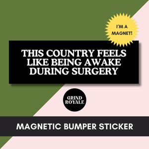Funny Liberal Bumper Sticker, Feminist Sticker, Cool Bumper Sticker, Funny Bumper Sticker,Political Bumper Sticker,Anti Trump Sticker