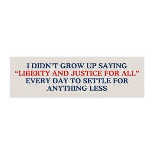 Liberty & Justice for All Bumper Magnet, Pro Democracy,Cool Bumper Sticker, Funny Bumper Sticker,Political Bumper Sticker,FDT Sticker image 2