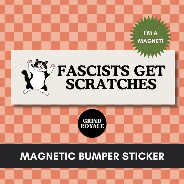 Anti Fascism Social Justice Leftist Car Magnet Bumper Sticker,Progressive Liberal,Political Bumper Sticker,FDT Sticker, Anti MAGA