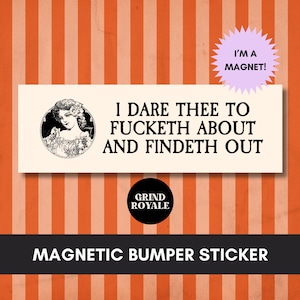 FAFO Bumper Sticker, Car Magnet Funny, Car Bumper Sticker Magnet, Bumper Sticker, Dark Humor Sarcastic Sticker, Funny Bumper Sticker