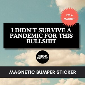 Funny Liberal Bumper Magnet, Pro Democracy,Cool Bumper Sticker, Funny Bumper Sticker,Political Bumper Sticker,Anti Trump Sticker