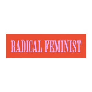 Radical Feminist Bumper Sticker Magnet, Feminist Sticker, Smash the Patriarchy, Cool Bumper Sticker, Funny Bumper Sticker, Political Sticker image 2