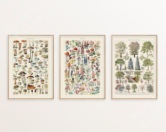 Conjunto de 3 láminas botánicas vintage, setas, flores y árboles, de Adolphe Millot. Envío desde Reino Unido, EE. UU., UE y Australia. Con o sin marco.