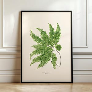 May include: A framed botanical print featuring a detailed illustration of a green fern. The fern is centered on a cream-colored background, with a thin black frame. The print is displayed against a white wall and a wooden floor.
