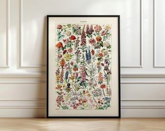 Könnte beinhalten: Eine Vintage-botanische Illustration mit einer Vielzahl von bunten Blumen, darunter rote, rosa, gelbe, blaue und violette Blüten. Die Illustration ist mit "Flora" beschriftet und enthält die wissenschaftlichen Namen jeder Blume.